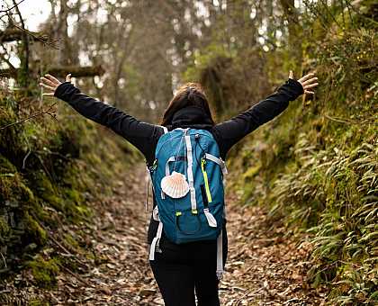 Can you walk the Camino de Santiago without speaking Spanish?